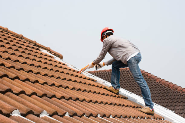 Best Gutter Installation and Repair  in Rapid Valley, SD